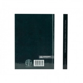 Провадження в справах про проступки