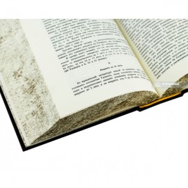 Елементарний підручник загального кримінального права. Загальна частина. Репринтне видання