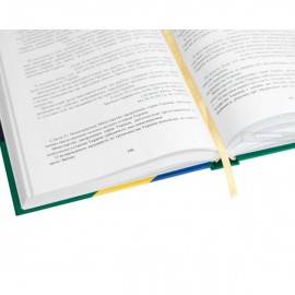 Закон України «Про забезпечення функціонування української мови як державної». Науково-практичний коментар