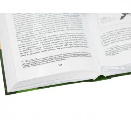 Державна та соціальна-економічна діяльність у забезпеченні використання природних ресурсів для органічного гоподарювання: правовий аспект