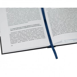 Теорія примусу в службовому праві