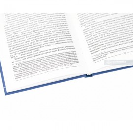 Конституційно-правовий статус уряду в країнах ЄС (на прикладі Франції, Федеративної Республіки Німеччини, Іспанії)