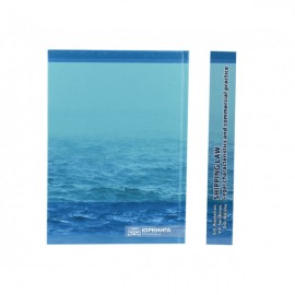 Shipping Law: Legal characteristics and commercial practice