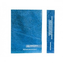 Вчення про речові докази у кримінальному процесі: теоретико-правові та практичні основи