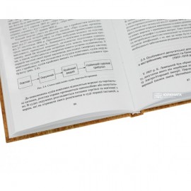 Внесок К. Левицького у державотворення та юридичну науку України