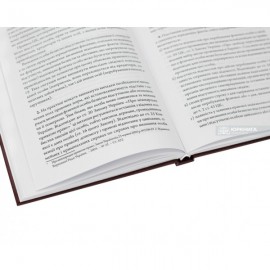 Цивільний кодекс України. Науково-практичний коментар. Том 2. Фізична особа