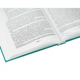 Виконавче провадження. Підручник