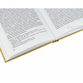 Церковно-політична історія Римських пап. том 2