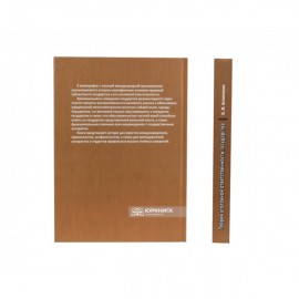 Теория уголовной ответственности государства