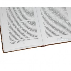 Теория уголовной ответственности государства