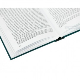 Кримінальна процесуальна діяльність слідчого: теорія та практика