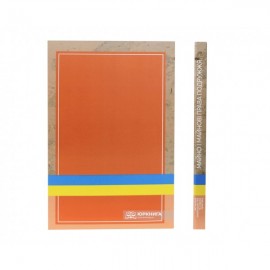 Майно і майнові права подружжя. Актуальне законодавство та судова практика