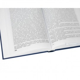 Інститут покарання неповнолітніх у кримінальному праві України. Генеза, міжнародні та європейські стандарти, ювенальна пенологія