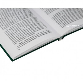 Решение Международного Суда в деле о морской делимитации в Черном море (Румыния против Украины): перевод и комментарий