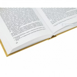 Церковно-політична історія Римських пап. Том 3