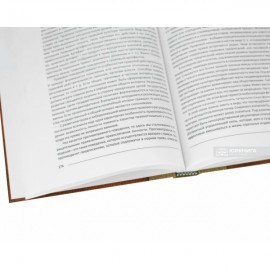 Общетеоретическая юриспруденция: учебный курс