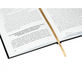 Концептуальні засади методики розслідування хуліганства, вчиненого під час виборчого процесу в Україні