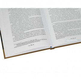 Нариси з філософії права. Л.Й. Петражицький