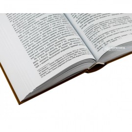 Теоретичні основи організації адвокатури в Україні: принципи та система