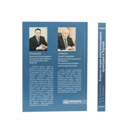 Вопросы теории конституционного правосудия в Украине