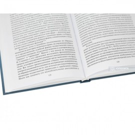 Вопросы теории конституционного правосудия в Украине