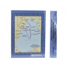 Разрешение территориальных споров Международным Судом ООН: теория и практика