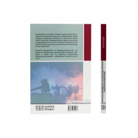Кримінальна відповідальність за безпосереднє втручання у забезпечення правопорядку