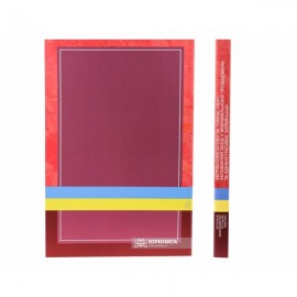 Затримання особи як тимчасовий запобіжний захід у кримінальному провадженні та адміністративне затримання. Актуальне законодавство та судова практика